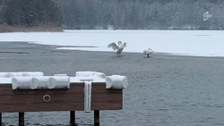 75 мест для крещенских купаний подготовлено в Белгородской области