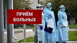 Холера не пройдёт: в Белгородской области проверили готовность к борьбе с опасной инфекцией