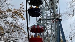 Территория бывшего парка «Тропикано» в Белгороде ушла в оперативное управление КЦ «Октябрь»