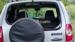 ВСУ нанесли более ста ударов по Белгородской области в течение суток