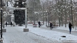 На уборку снега в Белгороде вышли более 600 коммунальщиков и 60 единиц техники