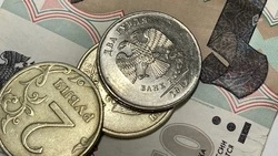 Махинации с соцвыплатами привели белгородку в суд