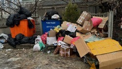 «Живём от грязевых ванн до пылевых бурь»: белгородцы жалуются на горы мусора в центре города