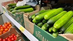 Рост цен на огурцы зафиксирован в Белгородской области