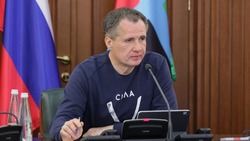 Вячеслав Гладков рассказал о планах проведения прямых линий на местном ТВ