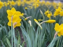 Начало рабочей недели встретит белгородцев теплом до 14 градусов 