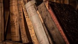 Специалисты Белгородской научной библиотеки оцифровали 600 тысяч страниц редкого литфонда