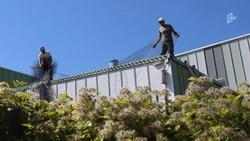 «Результата нет»: Вячеслав Гладков раскритиковал темпы восстановления жилья в Шебекинском округе