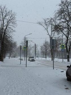В белгородских школах могут отменить занятия из-за сильных морозов