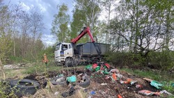 Муниципалитеты Белгородской области поборются за звание самой чистой территории