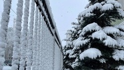 В четверг в Белгороде выпадет снег