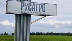 РБК: Владелец «РусАгро» Вадим Мошкович подозревается в мошенничестве с белгородской землёй