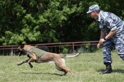 Белгородские кинологи помогли раскрыть 194 преступления с начала года