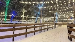 Открытые катки в Центральном парке Белгорода и на Есенина возобновили работу