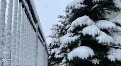 Погода порадует белгородцев снегом в последний день рабочей недели 