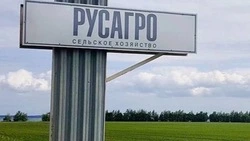 РБК: Владелец «РусАгро» Вадим Мошкович подозревается в мошенничестве с белгородской землёй