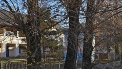 Жители общежития просят избавить их от трупного запаха в Белгороде