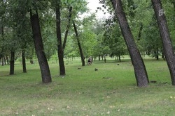 Роспотребнадзор рассказал белгородцам о безопасном отдыхе на майских праздниках 