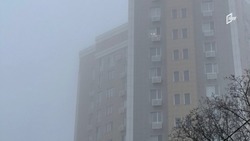 Туман и заморозки ожидают белгородцев в конце рабочей недели 