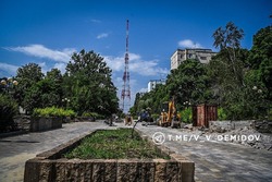 Розарий вновь появится на бульваре Первого Салюта в Белгороде после обновления сквера 
