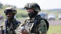 В Белгородской области стартует региональный кадровый проект для участников СВО «Сталь»