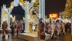 Организация новогодних мероприятий в Белгороде обошлась горбюджету в более 13 млн рублей 