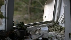 Более 200 беспилотников ВСУ сбиты над территорией Белгородской области за сутки