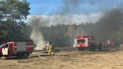 Полторы тысячи белгородцев готовятся к пожароопасному сезону в регионе