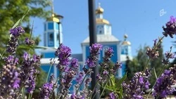 Аномальная жара, кратковременные дожди и грозы ожидаются в Белгородской области в пятницу