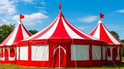 Росгосцирк планирует установить цирк-шапито Белгороде весной 2026 года 