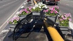 Старооскольская мэрия направит 2,7 млн рублей на крепления для цветочных вазонов