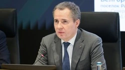 Вячеслав Гладков объявил об уходе в двухнедельный отпуск