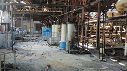Четыре шебекинских предприятия подали заявки на вступление в СЭЗ