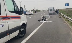 Пожилой водитель мопеда погиб при столкновении с машиной в Белгородской области