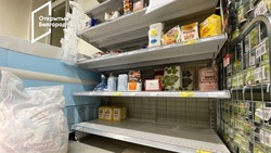 В белгородских магазинах пустуют полки с фасованным сахаром