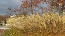 Прохладный дождливый день ждёт белгородцев в среду