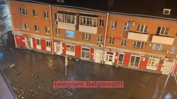 Центр Белгорода превратился в Венецию после дождя 