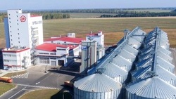 Гладков: Белгородские аграрии заготовили около 5 млн тонн комбикорма в 2024 году