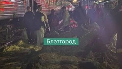 Посадка пассажиров на поезд через грязь и бетонные плиты привела к проверке ж/д вокзала в Белгороде
