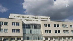 Более 650 исследователей трудятся над развитием науки в Белгородской области