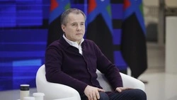 «Работа огромная, но она не решит все проблемы»: Вячеслав Гладков о подготовке к сложной зиме 