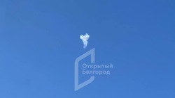 Средства ПВО сбили пять беспилотников ВСУ над Белгородской областью ночью