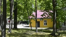 Врио губернатора Шуваев рассказал, как будет организован летний отдых для юных белгородцев 