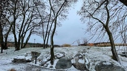 До 15 градусов мороза и туман ожидают белгородцев в четверг