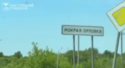 «Видим сокращение обстрелов»: губернатор Гладков об оперативной обстановке в Мокрой Орловке 