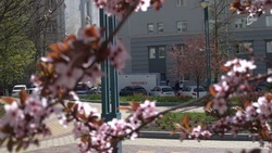 Последний рабочий день недели порадует белгородцев 18-градусным теплом 