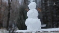 В Белгороде выпал долгожданный снег