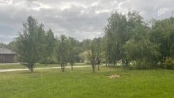 Сильные дожди и грозы опустятся на Белгородскую область в четверг 
