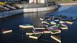 Белгородская архитектурная компания отсудила у мэрии 2,3 млн рублей за «Калейдоп» на Везёлке