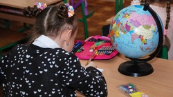 Выпускники белгородских школ смогут подготовиться к сдаче экзаменов в майской дистанционной школе